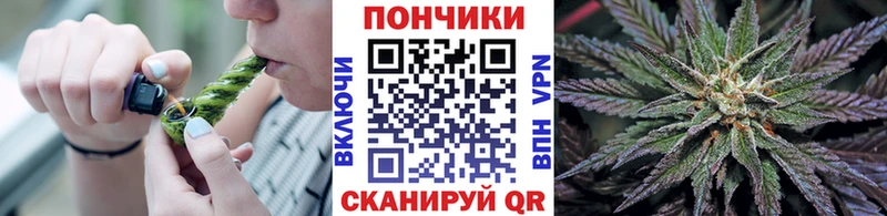 Конопля OG Kush  Трёхгорный 